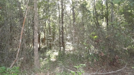 Cherokee County Land For Sale - image 18