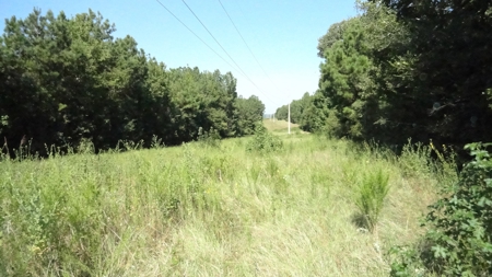Cherokee County Land For Sale - image 15