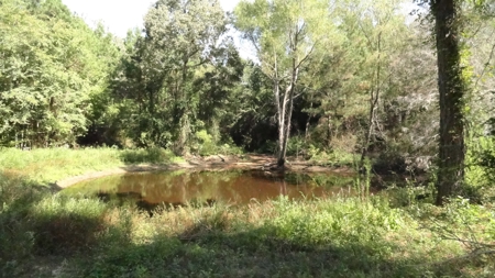 Cherokee County Land For Sale - image 6