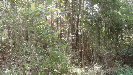 Cherokee County Land For Sale - image 14