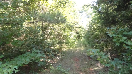 Cherokee County Land For Sale - image 10