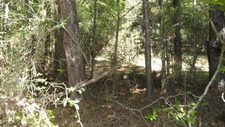 Cherokee County Land For Sale - image 12