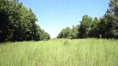 Cherokee County Land For Sale - image 9