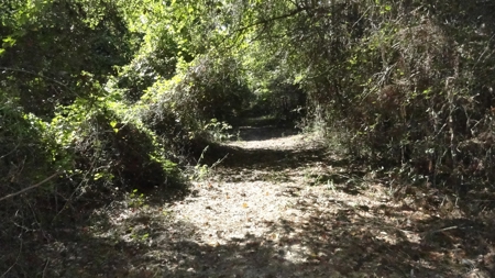 Cherokee County Land For Sale - image 16