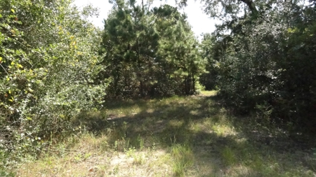 Cherokee County Land For Sale - image 19