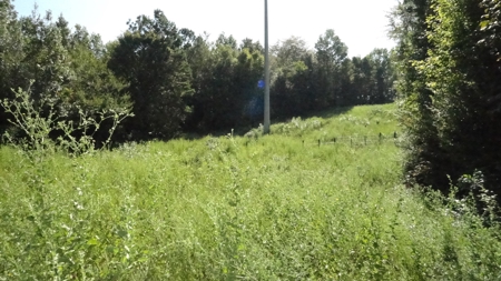 Cherokee County Land For Sale - image 8