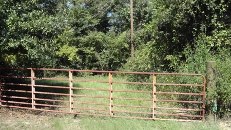 Cherokee County Land For Sale - image 3