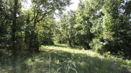 Cherokee County Land For Sale - image 21
