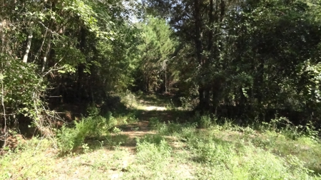 Cherokee County Land For Sale - image 7