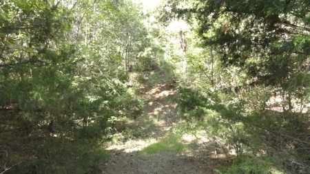 Cherokee County Land For Sale - image 13