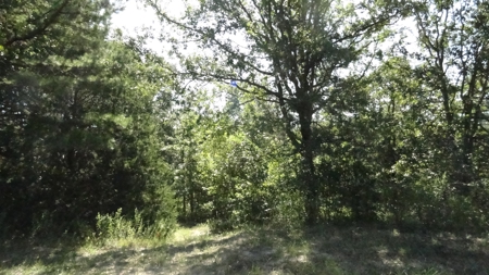 Cherokee County Land For Sale - image 26