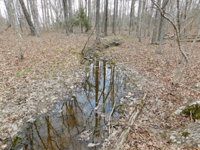 Land Near Buffalo National River Compton for Sale - image 7