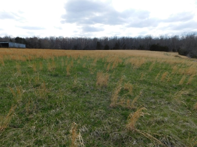 Land Near Buffalo National River Compton for Sale - image 2