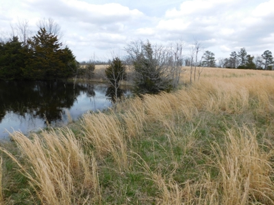 Land Near Buffalo National River Compton for Sale - image 6