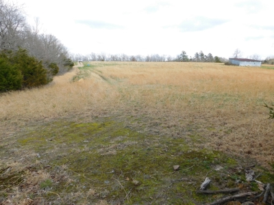 Land Near Buffalo National River Compton for Sale - image 11