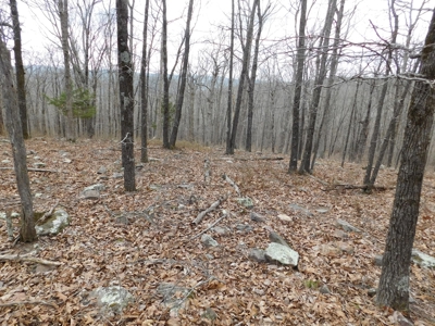 Land Near Buffalo National River Compton for Sale - image 8