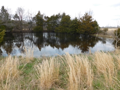 Land Near Buffalo National River Compton for Sale - image 5