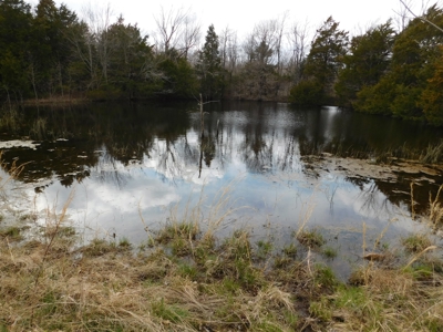 Land Near Buffalo National River Compton for Sale - image 4
