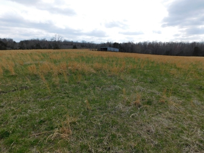Land Near Buffalo National River Compton for Sale - image 1