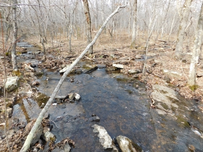 Land Near Buffalo National River Compton For Sale - image 4