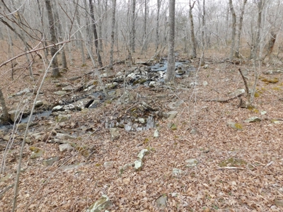 Land Near Buffalo National River Compton For Sale - image 3