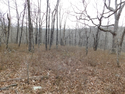Land Near Buffalo National River Compton For Sale - image 5