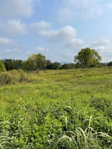 3.08 Unrestricted Acres in Rogersville, TN For Sale - image 2