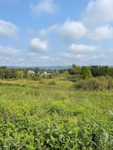 3.08 Unrestricted Acres in Rogersville, TN For Sale - image 1