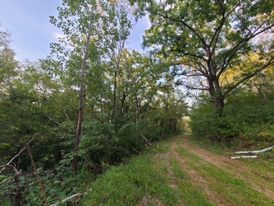 Premier Turn-Key Hunting Compound in Monroe County, WI - image 16