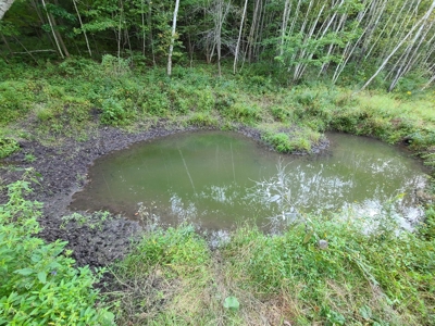 Premier Turn-Key Hunting Compound in Monroe County, WI - image 23