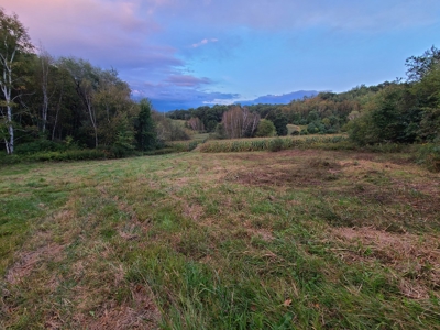 Premier Turn-Key Hunting Compound in Monroe County, WI - image 1