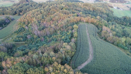 Premier Turn-Key Hunting Compound in Monroe County, WI - image 38