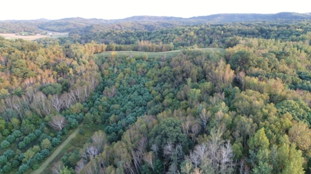 Premier Turn-Key Hunting Compound in Monroe County, WI - image 33