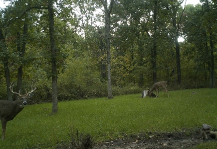 Premier Turn-Key Hunting Compound in Monroe County, WI - image 29