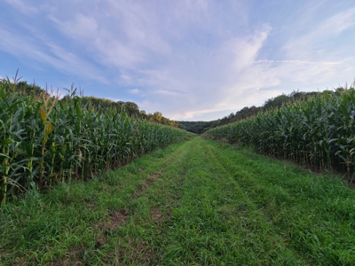 Premier Turn-Key Hunting Compound in Monroe County, WI - image 21