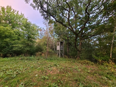 Premier Turn-Key Hunting Compound in Monroe County, WI - image 3