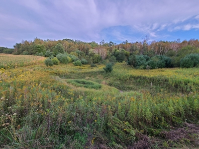 Premier Turn-Key Hunting Compound in Monroe County, WI - image 10
