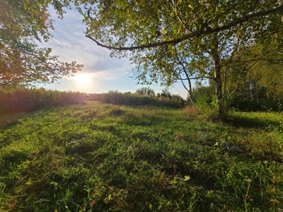 Premier Turn-Key Hunting Compound in Monroe County, WI - image 12