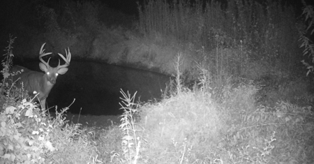 Premier Turn-Key Hunting Compound in Monroe County, WI - image 30