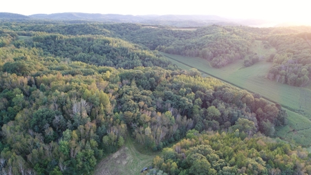Premier Turn-Key Hunting Compound in Monroe County, WI - image 34