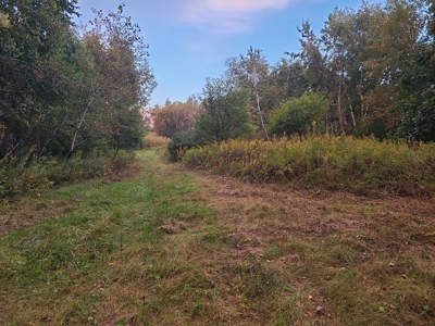 Premier Turn-Key Hunting Compound in Monroe County, WI - image 6
