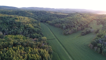 Premier Turn-Key Hunting Compound in Monroe County, WI - image 35