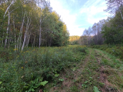 Premier Turn-Key Hunting Compound in Monroe County, WI - image 22