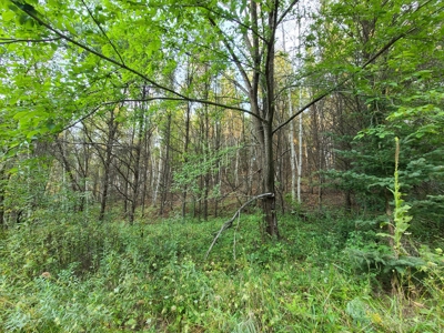 Premier Turn-Key Hunting Compound in Monroe County, WI - image 20