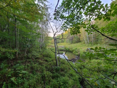 Premier Turn-Key Hunting Compound in Monroe County, WI - image 24