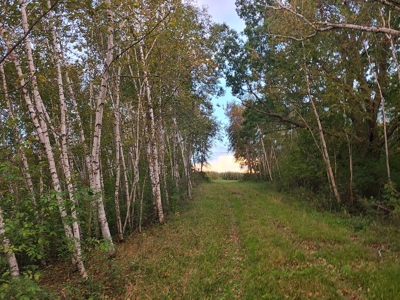 Premier Turn-Key Hunting Compound in Monroe County, WI - image 2
