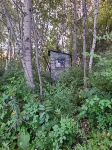 Premier Turn-Key Hunting Compound in Monroe County, WI - image 7