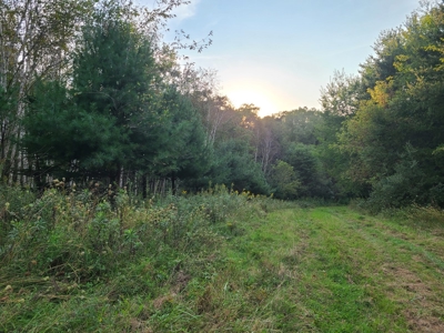 Premier Turn-Key Hunting Compound in Monroe County, WI - image 19