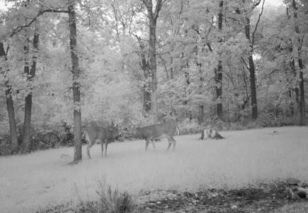 Premier Turn-Key Hunting Compound in Monroe County, WI - image 28
