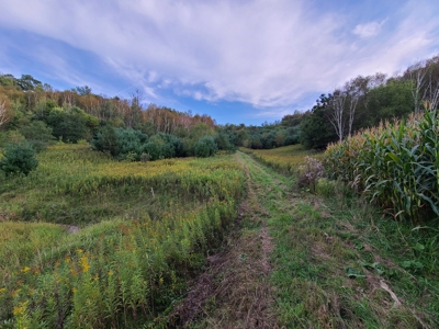 Premier Turn-Key Hunting Compound in Monroe County, WI - image 11